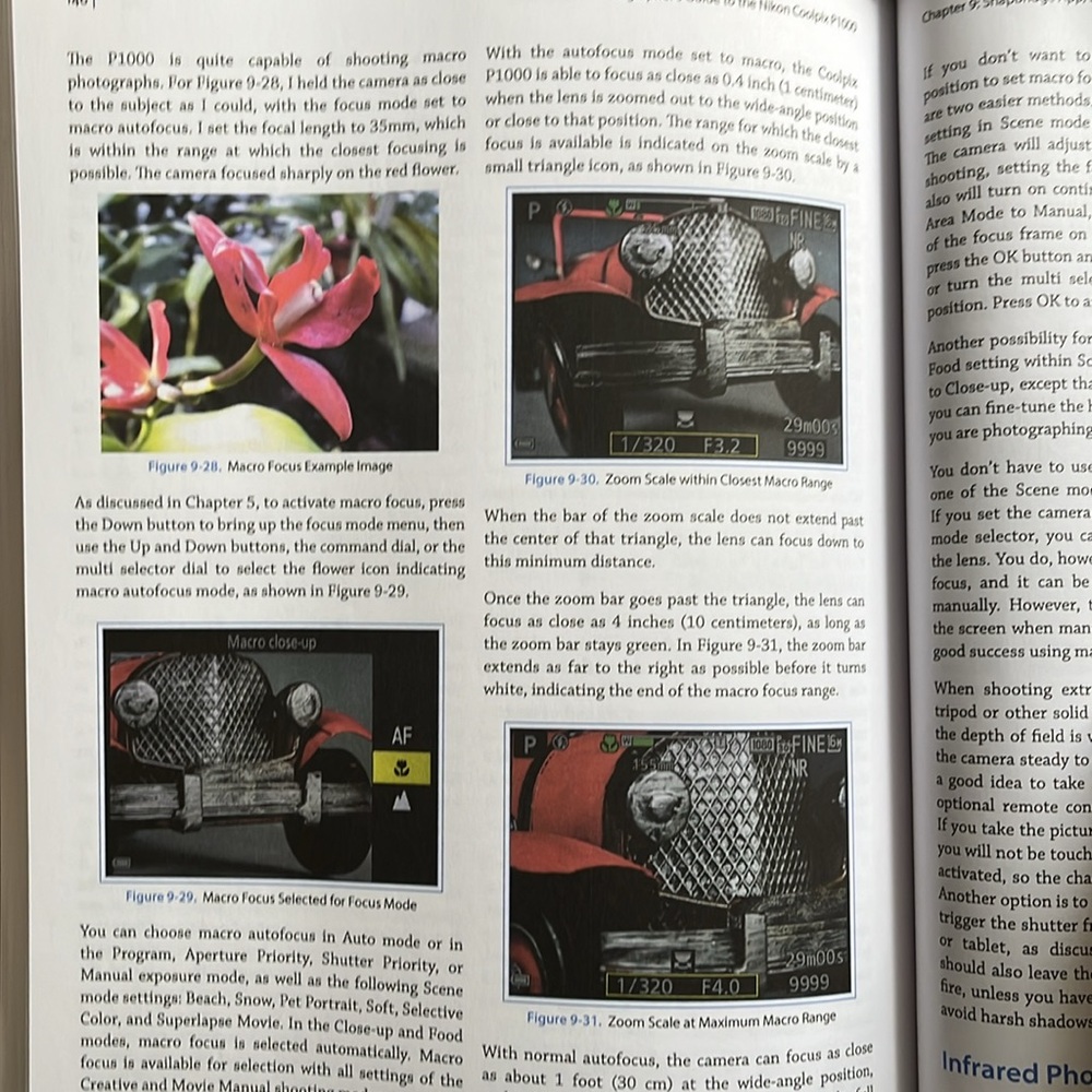 Photographer’s Guide to the Nikon Coolpix P1000 - Picture 4 of 13